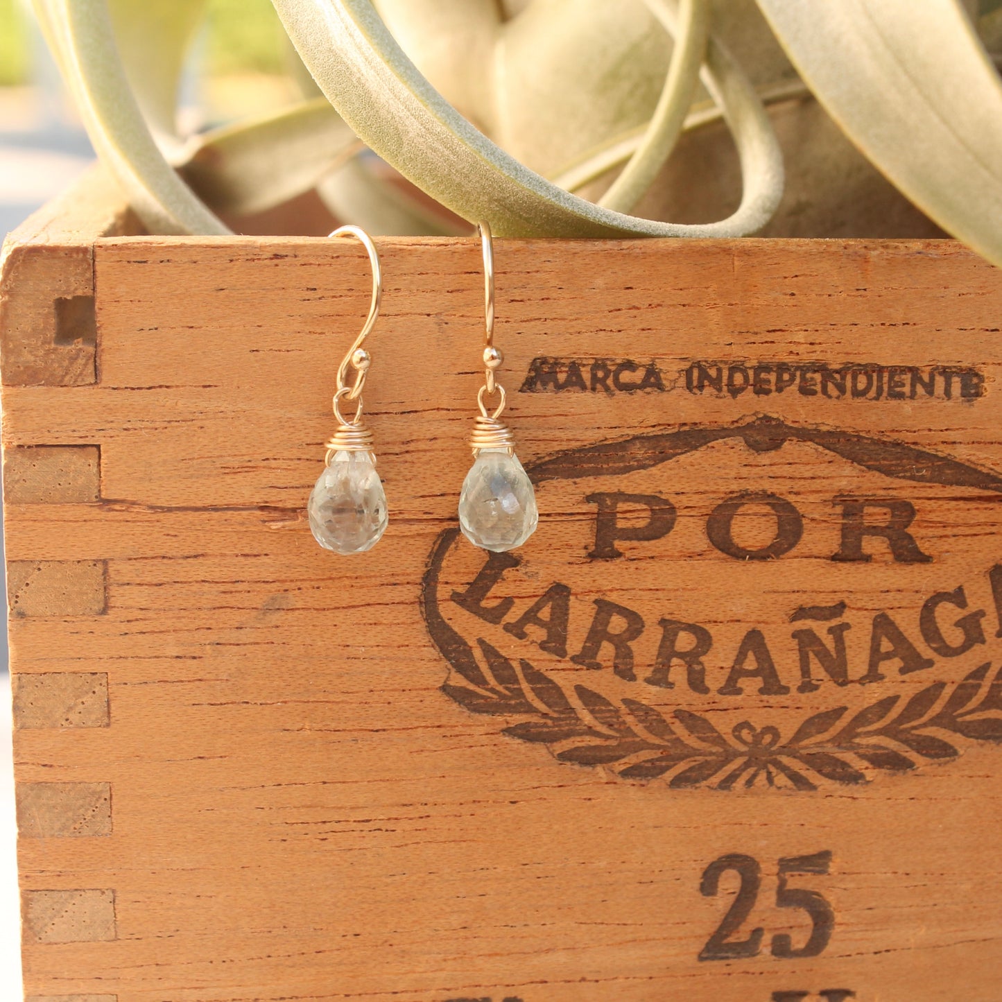 Briolette Dangles en Gold Filled
