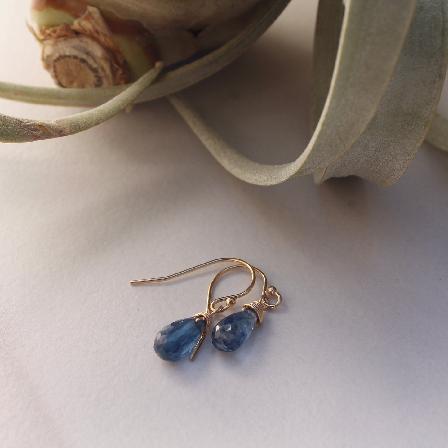 Briolette Dangles en Gold Filled