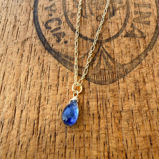 Kyanite Briolette Drop Gold Filled Necklace